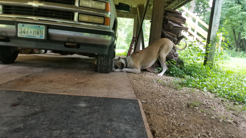 They were trying to get a rock. A ROCK! They spent like 5 minutes trying to get it.
